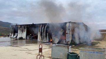 Ceviz işleme tesisi alev alev yandı