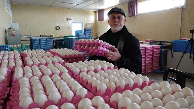 Yumurta üreticisinden yumurta fiyatı isyanı