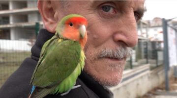 Tekirdağ’da Gören Bir Daha Bakıyor: Hüseyin Amca Nereye Papağanı da Oraya Gidiyor